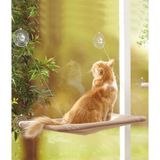 Aqua Home Cama Yapışan Kedi Yatağı