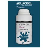 Aquacool Akrilik Hobi Boya 1 Kg Su Bazlı Hibrit Dönüşüm Boyası Ral 5001 Yeşil Mavi