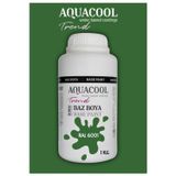 Aquacool Akrilik Hobi Boya 1 Kg Su Bazlı Hibrit Dönüşüm Boyası Ral 6001 Zümrüt Yeşili