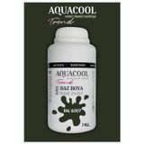 Aquacool Akrilik Hobi Boya 1 Kg Su Bazlı Hibrit Dönüşüm Boyası Ral 6007 Cam Yeşili
