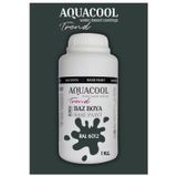 Aquacool Akrilik Hobi Boya 1 Kg Su Bazlı Hibrit Dönüşüm Boyası Ral 6012 Siyah Yeşil