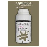 Aquacool Akrilik Hobi Boya 1 Kg Su Bazlı Hibrit Dönüşüm Boyası Ral 6013 Sazlık Yeşili