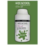 Aquacool Akrilik Hobi Boya 1 Kg Su Bazlı Hibrit Dönüşüm Boyası Ral 6017 Mayıs Yeşili