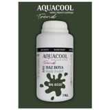Aquacool Akrilik Hobi Boya 1 Kg Su Bazlı Hibrit Dönüşüm Boyası Ral 6020 Krom Yeşili