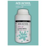 Aquacool Akrilik Hobi Boya 1 Kg Su Bazlı Hibrit Dönüşüm Boyası Ral 6027 Açık Yeşil