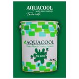 Aquacool Akrilik Hobi Boya 2,5 Kg Su Bazlı Hibrit Dönüşüm Boyası Boya Ral 6029 Nane Yeşili