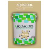 Aquacool Akrilik Hobi Boya 2,5 Kg Su Bazlı Hibrit Dönüşüm Boyası Ral 1000 Yeşil Bej