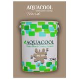 Aquacool Akrilik Hobi Boya 2,5 Kg Su Bazlı Hibrit Dönüşüm Boyası Ral 1019 Yeşil Bej