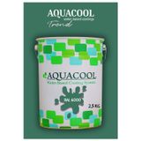 Aquacool Akrilik Hobi Boya 2,5 Kg Su Bazlı Hibrit Dönüşüm Boyası Ral 6000 Patina Yeşil