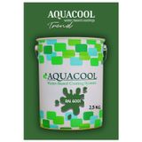 Aquacool Akrilik Hobi Boya 2,5 Kg Su Bazlı Hibrit Dönüşüm Boyası Ral 6001 Zümrüt Yeşili
