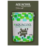 Aquacool Akrilik Hobi Boya 2,5 Kg Su Bazlı Hibrit Dönüşüm Boyası Ral 6003 Zeytin Yeşili