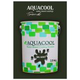 Aquacool Akrilik Hobi Boya 2,5 Kg Su Bazlı Hibrit Dönüşüm Boyası Ral 6007 Cam Yeşili