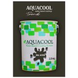 Aquacool Akrilik Hobi Boya 2,5 Kg Su Bazlı Hibrit Dönüşüm Boyası Ral 6008 Kahve Yeşil
