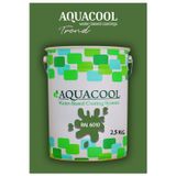 Aquacool Akrilik Hobi Boya 2,5 Kg Su Bazlı Hibrit Dönüşüm Boyası Ral 6010 Çimen Yeşili