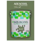 Aquacool Akrilik Hobi Boya 2,5 Kg Su Bazlı Hibrit Dönüşüm Boyası Ral 6011 Küf Yeşili