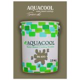 Aquacool Akrilik Hobi Boya 2,5 Kg Su Bazlı Hibrit Dönüşüm Boyası Ral 6013 Sazlık Yeşili