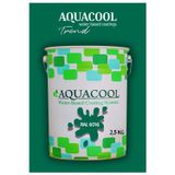 Aquacool Akrilik Hobi Boya 2,5 Kg Su Bazlı Hibrit Dönüşüm Boyası Ral 6016 Türk Yeşili