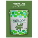 Aquacool Akrilik Hobi Boya 2,5 Kg Su Bazlı Hibrit Dönüşüm Boyası Ral 6017 Mayıs Yeşili