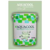 Aquacool Akrilik Hobi Boya 2,5 Kg Su Bazlı Hibrit Dönüşüm Boyası Ral 6019 Pastel Yeşil