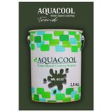 Aquacool Akrilik Hobi Boya 2,5 Kg Su Bazlı Hibrit Dönüşüm Boyası Ral 6020 Krom Yeşili