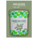 Aquacool Akrilik Hobi Boya 2,5 Kg Su Bazlı Hibrit Dönüşüm Boyası Ral 6021 Soluk Yeşil