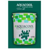Aquacool Akrilik Hobi Boya 2,5 Kg Su Bazlı Hibrit Dönüşüm Boyası Ral 6026 Opal Yeşili