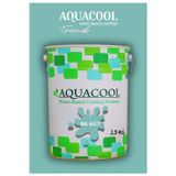 Aquacool Akrilik Hobi Boya 2,5 Kg Su Bazlı Hibrit Dönüşüm Boyası Ral 6027 Açık Yeşil