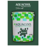 Aquacool Akrilik Hobi Boya 2,5 Kg Su Bazlı Hibrit Dönüşüm Boyası Ral 6028 Çam Yeşili