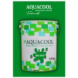 Aquacool Akrilik Hobi Boya 2,5 Kg Su Bazlı Hibrit Dönüşüm Boyası Ral 6037 Saf Yeşil