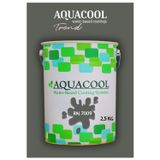 Aquacool Akrilik Hobi Boya 2,5 Kg Su Bazlı Hibrit Dönüşüm Boyası Ral 7009 Yeşil Gri