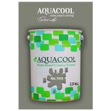 Aquacool Akrilik Hobi Boya 2,5 Kg Su Bazlı Hibrit Dönüşüm Boyası Ral 7033 Çimento Grisi