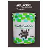Aquacool Akrilik Hobi Boya 2,5 Kg Su Bazlı Hibrit Dönüşüm Boyası Ral 8019 Yeşil Kahve