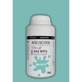 Aquacool Trend Akrilik Hobi Boya 1 kg Su Bazlı Hibrit Dönüşüm Boyası Ral 6027 Açık Yeşil