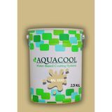 Aquacool Trend Akrilik Hobi Boya 2,5 kg Su Bazlı Hibrit Dönüşüm Boyası Ral 1000 Yeşil Bej - Bej - Yeşil