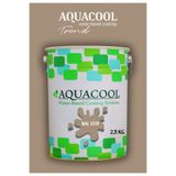 Aquacool Trend Akrilik Hobi Boya 2,5 Kg Su Bazlı Hibrit Dönüşüm Boyası Ral 1019 Yeşil Bej