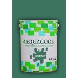Aquacool Trend Akrilik Hobi Boya 2,5 kg Su Bazlı Hibrit Dönüşüm Boyası Ral 6000 Patina Yeşil - Patine Yeşili