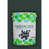 Aquacool Trend Akrilik Hobi Boya 2,5 kg Su Bazlı Hibrit Dönüşüm Boyası Ral 6012 Siyah Yeşil - Yeşil Çay