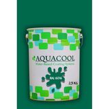 Aquacool Trend Akrilik Hobi Boya 2,5 kg Su Bazlı Hibrit Dönüşüm Boyası Ral 6016 Türk Yeşili - Defne Yeşili