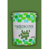 Aquacool Trend Akrilik Hobi Boya 2,5 kg Su Bazlı Hibrit Dönüşüm Boyası Ral 6017 Mayıs Yeşili
