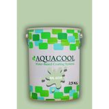Aquacool Trend Akrilik Hobi Boya 2,5 kg Su Bazlı Hibrit Dönüşüm Boyası Ral 6019 Pastel Yeşil