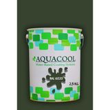 Aquacool Trend Akrilik Hobi Boya 2,5 kg Su Bazlı Hibrit Dönüşüm Boyası Ral 6020 Krom Yeşili