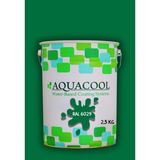 Aquacool Trend Akrilik Hobi Boya 2,5 kg Su Bazlı Hibrit Dönüşüm Boyası Ral 6029 Nane Yeşili