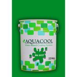 Aquacool Trend Akrilik Hobi Boya 2,5 kg Su Bazlı Hibrit Dönüşüm Boyası Ral 6037 Saf Yeşil - Kivi Yeşil