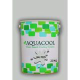Aquacool Trend Akrilik Hobi Boya 2,5 kg Su Bazlı Hibrit Dönüşüm Boyası Ral 7035 Açık Gri - Gri Yeşil