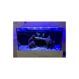 Aqualed Led Royal Mavi Akvaryum Led Aydınlatma 20 Cm