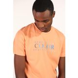 Ar-ma Erkek Bisiklet Yaka Tişört Yazi Baskili Örme Kumaş Slim Fit%93 Pamuk%7 Elastan 36/1 Full Elastan Süprem Y22344450401 Pembe-P2
