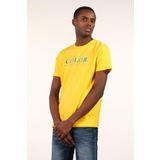 Ar-ma Erkek Bisiklet Yaka Tişört Yazi Baskili Örme Kumaş Slim Fit%93 Pamuk%7 Elastan 36/1 Full Elastan Süprem Y22344450401 Sarı-S1
