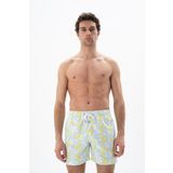 Ar-ma Erkek Mayo/Deniz Şortu Regular Fit%100 Polyester Micro Dokuma Baskısız Desenli Çok Renkli Y25525278001 Gri-G2