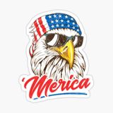Araba İçin Havalı Kartal Sticker Yapıştırması Etiket Oto 17cm Z4