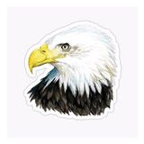 Araba İçin Kartal Oto Sticker Yapıştırması Etiket 17cm A2